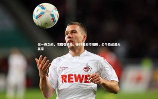 开云体育平台|仅一夜之间，浓眉引哄抢，步行者却挖墙脚，公牛恐成最大赢家